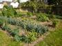 site2 tomates poireau
