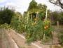 automne2005