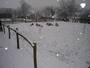 hiver2005/2006